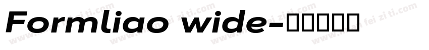 Formliao wide字体转换